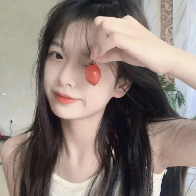 天网擒凶